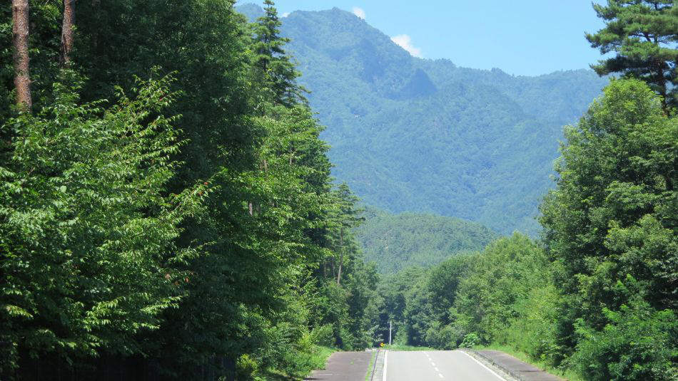 2012-08-02_11.06.09_20260630101253131.jpg