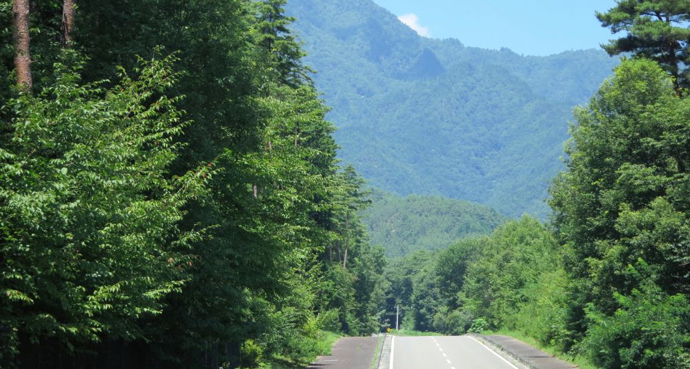 2012-08-02_11.06.09.jpg