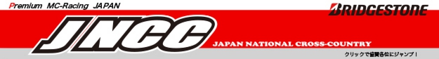 bridgestone.jpg
