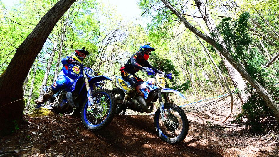52063552001_a6cc94eaca_k_20230502140218861.jpg